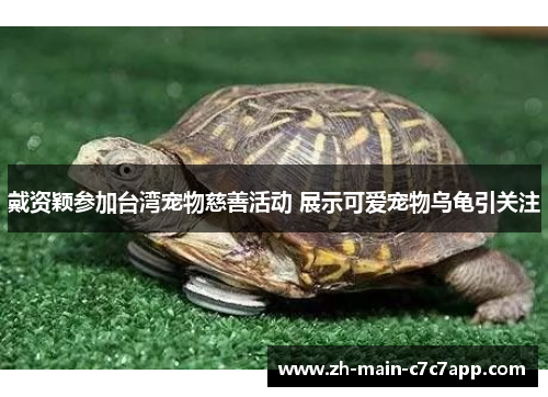 戴资颖参加台湾宠物慈善活动 展示可爱宠物乌龟引关注