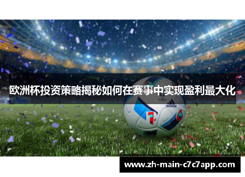 欧洲杯投资策略揭秘如何在赛事中实现盈利最大化 欧洲杯投资策略揭秘如何在赛事中实现盈利最大化